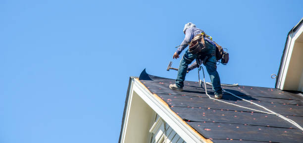 Best Gutter Installation and Roofing  in Wooster, AR